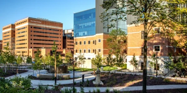 Mayo Clinic - Addiction Services